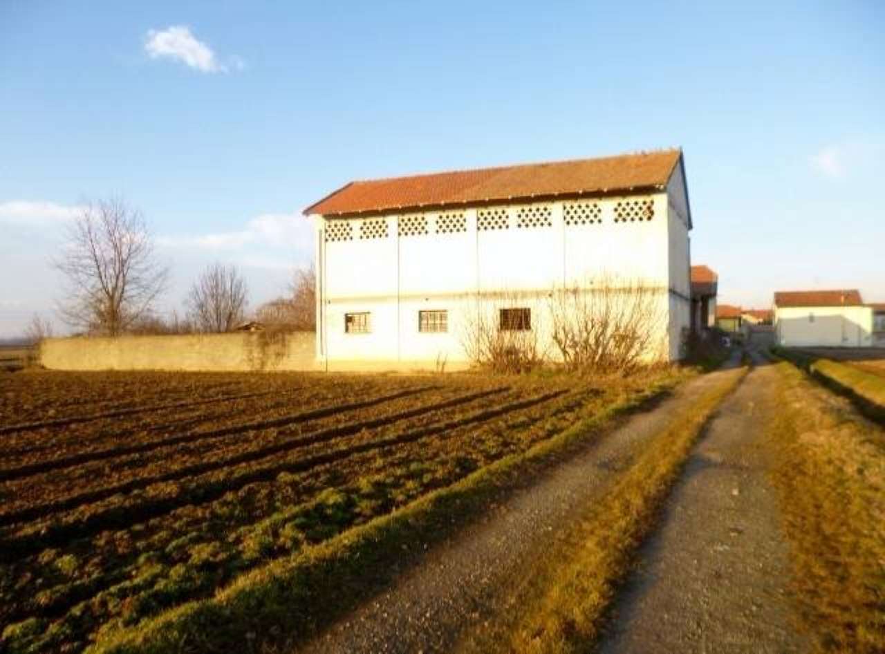 Rustico - Cascina TRONZANO VERCELLESE vendita   Vittorio Emanuele II BUGELLA Agenzia Immobiliare