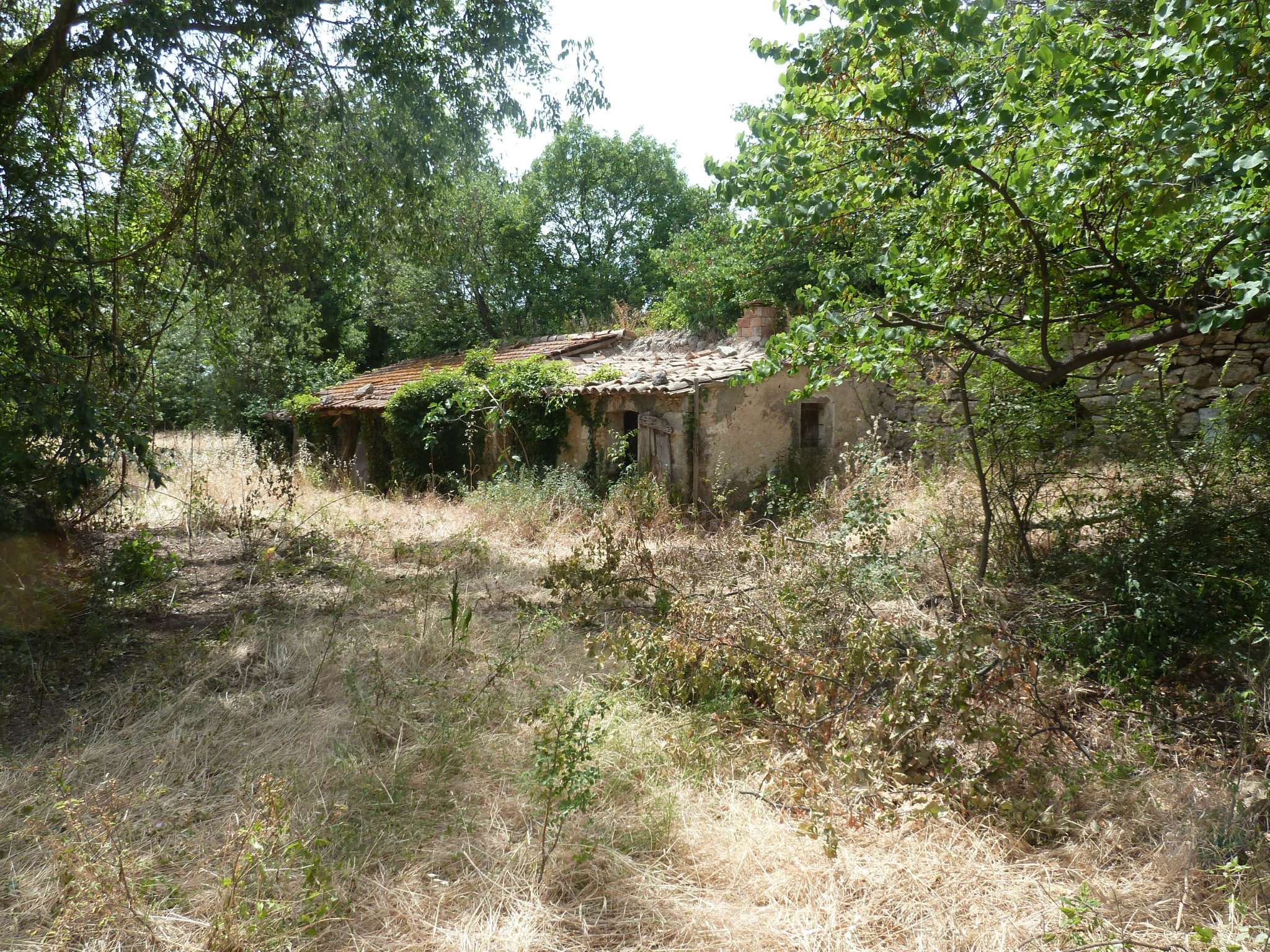 Rustico - Cascina MANCIANO vendita   Aurinia STUDIO MAGNAGHI