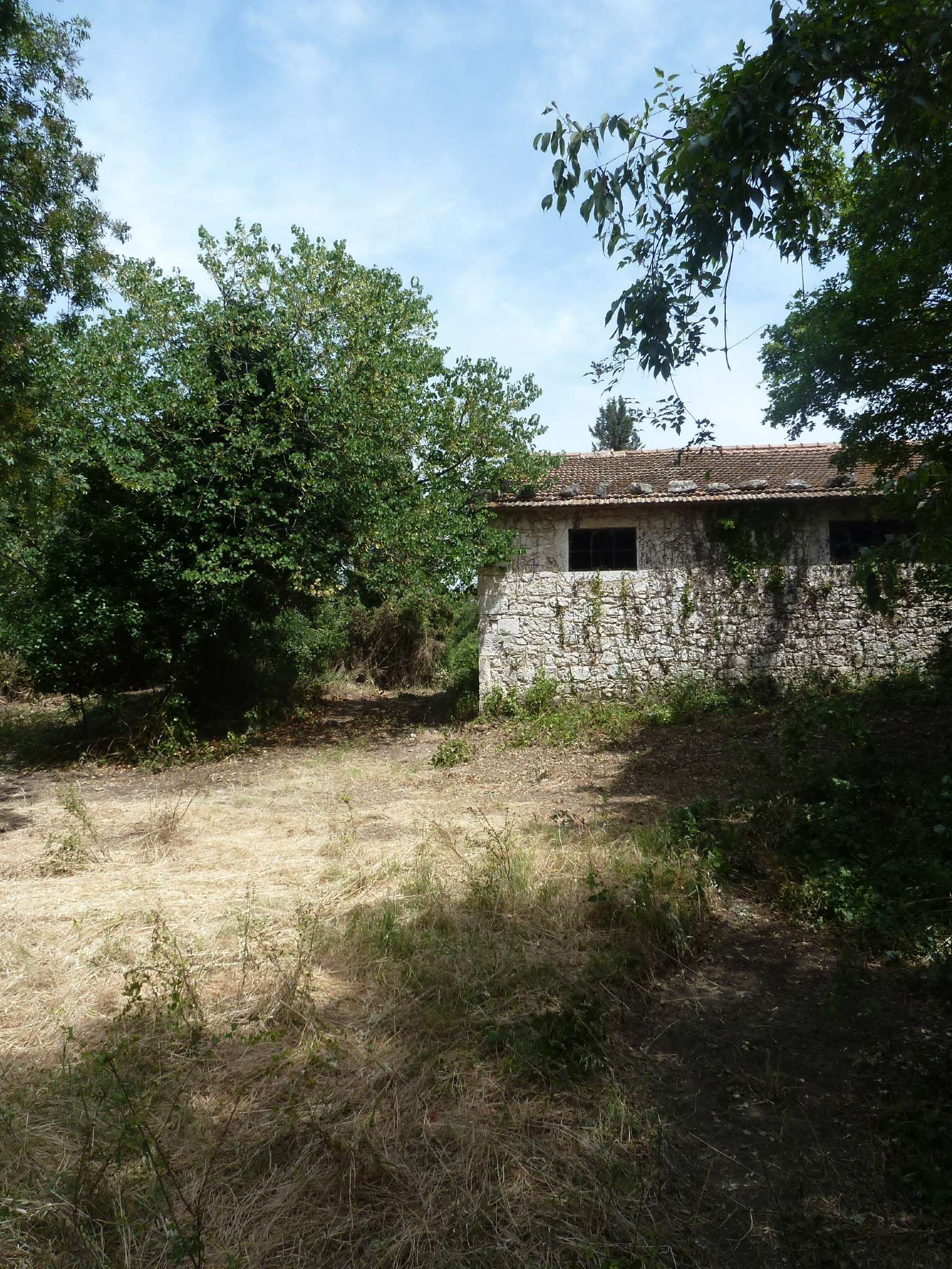 Rustico - Cascina MANCIANO vendita   Aurinia STUDIO MAGNAGHI