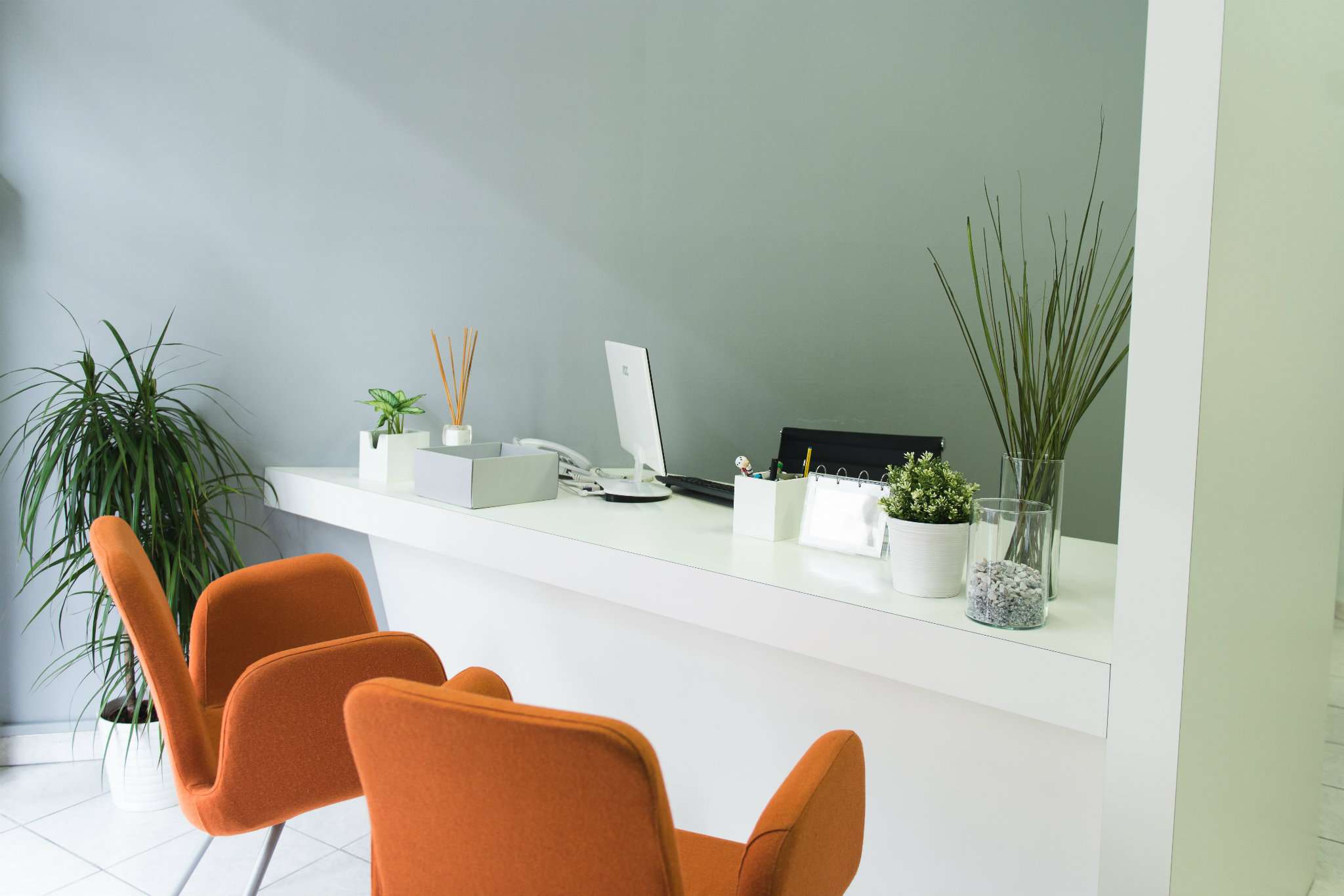 Negozio - Loc.Com. PISA affitto  PORTA FIORENTINA Filipppo Corridoni NILA SRL