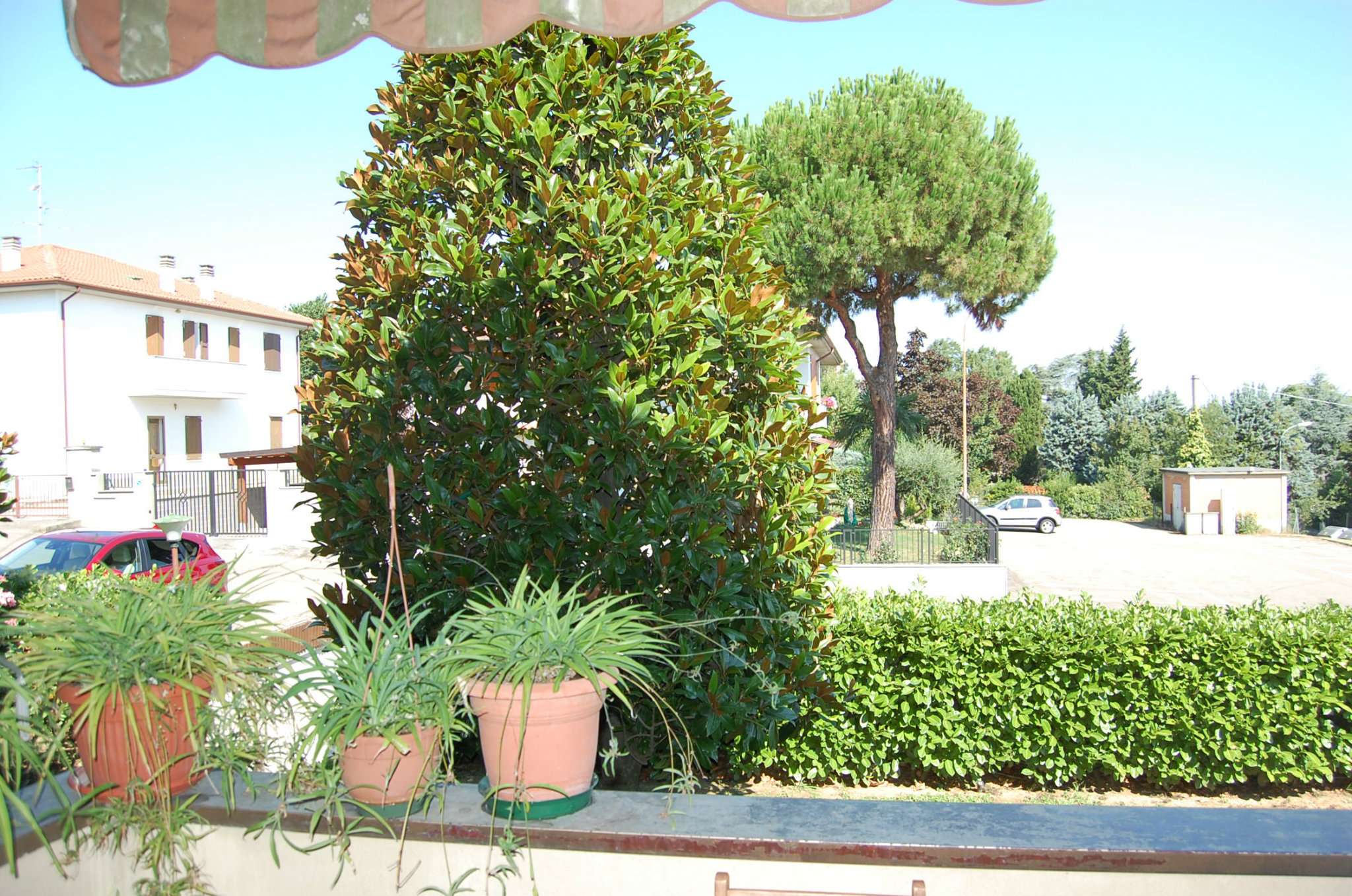  dozza vendita quart:  co.ra.-studio-immobiliare-s.r.l.