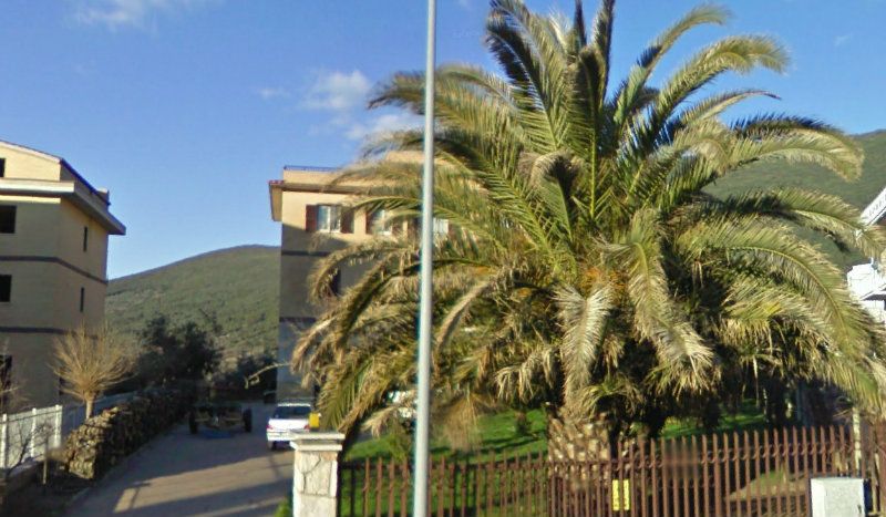 Appartamento PALOMBARA SABINA vendita   ponte delle tavole STUDIO NICOTRA