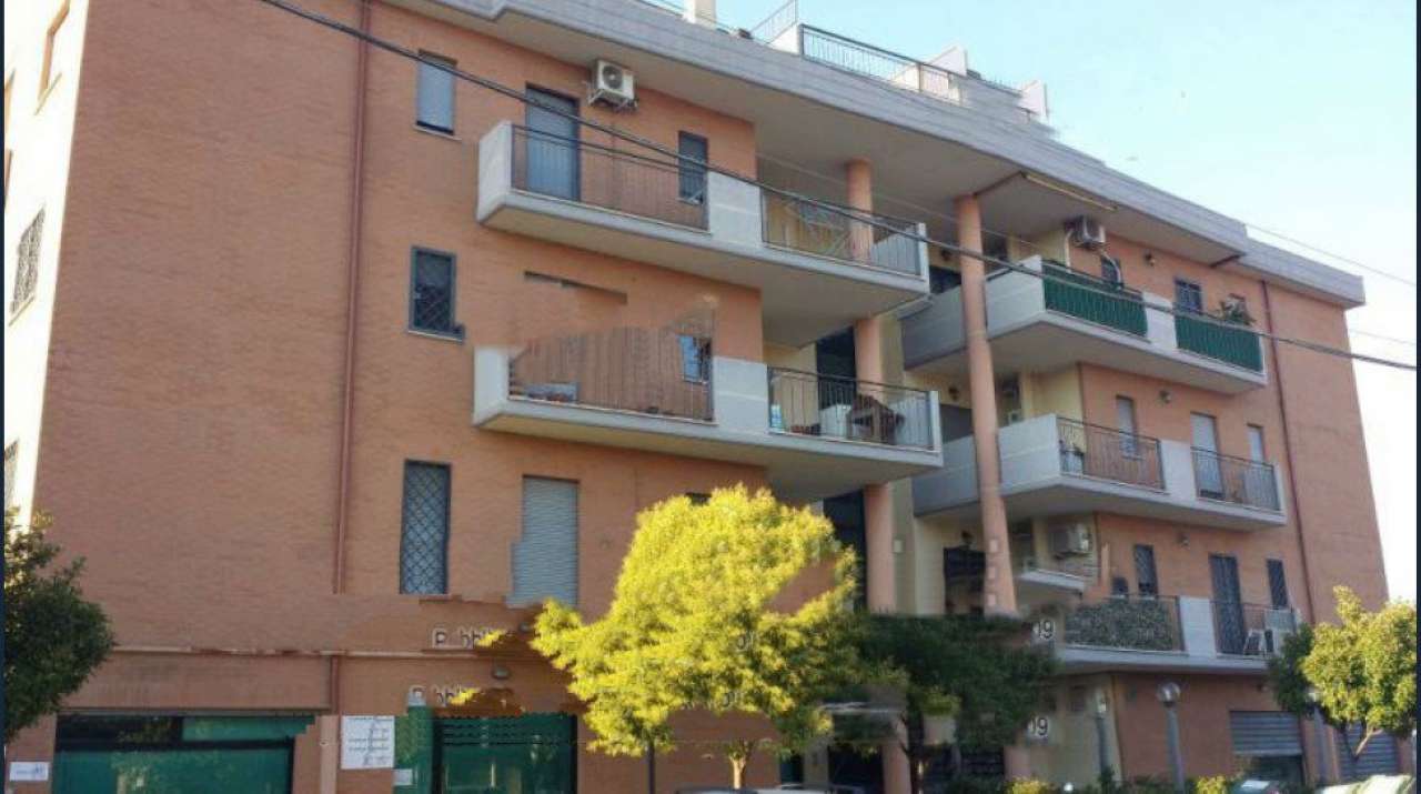 Appartamento ROMA vendita  BORGHESIANA (ZONA DELLA VIII MUN.) Andria STUDIO NICOTRA