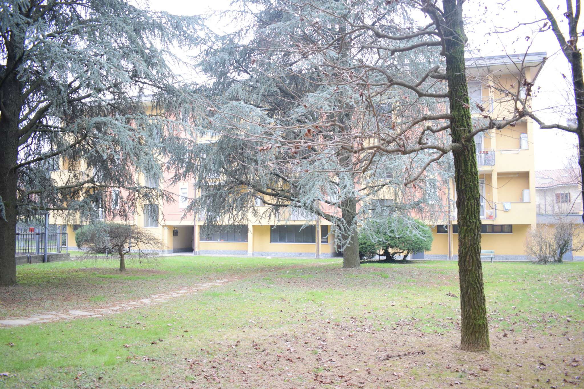 Appartamento AGRATE BRIANZA vendita   A De Gasperi GreenCasa