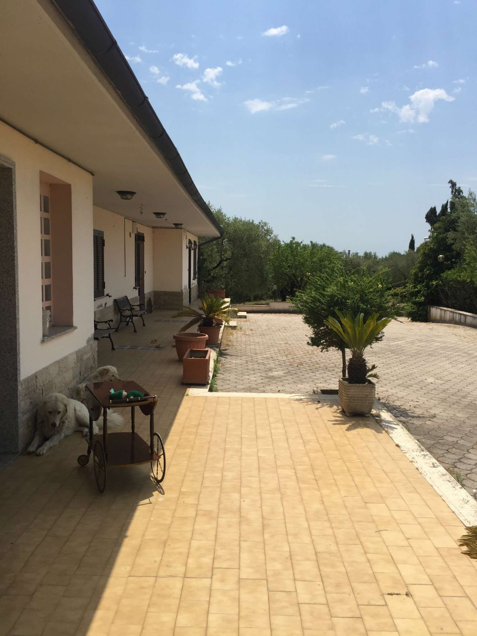 Villa Unifamiliare - Indipendente FORMELLO vendita   della villa Enne Immobiliare