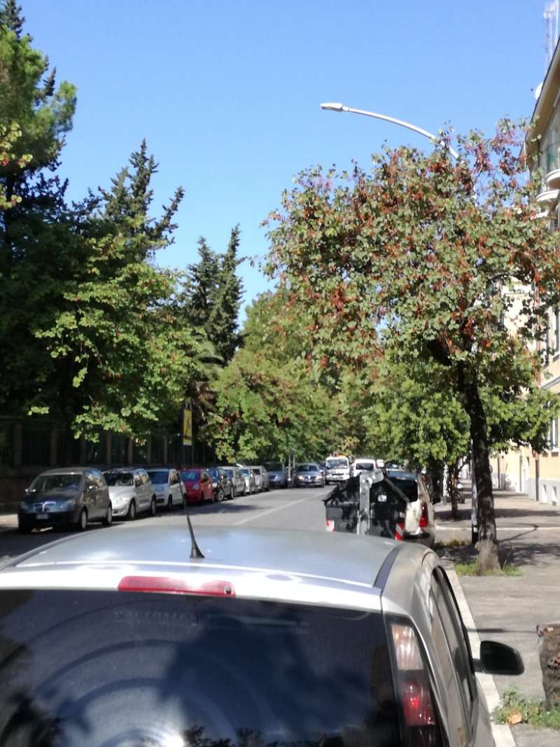 Appartamento ROMA vendita  APPIO LATINO (IX MUN.) Latina CASA VOGUE IMMOBILIARE SRL