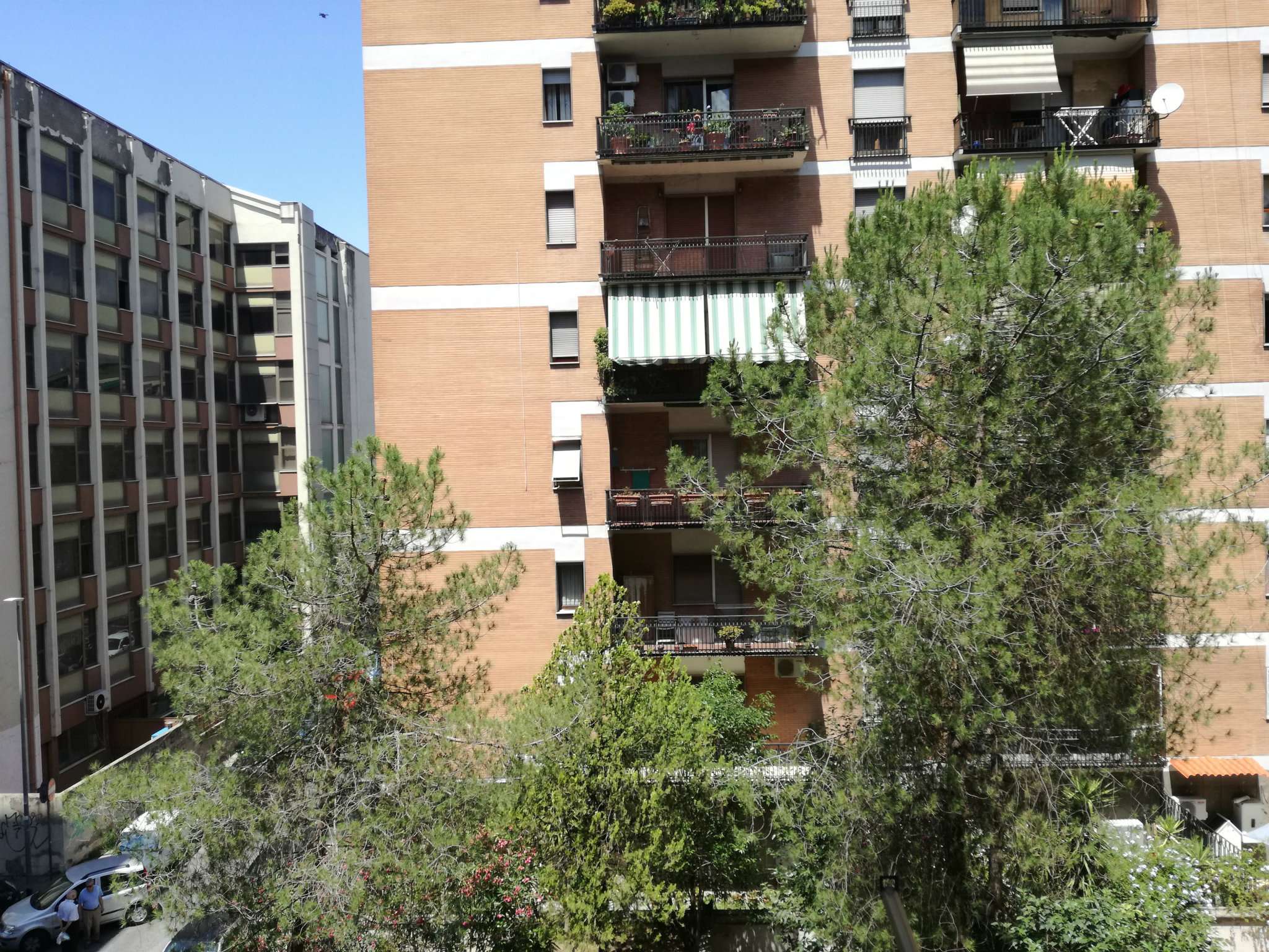 Appartamento ROMA vendita  GIANICOLENSE (XV MUN.) jacopo belgrado CASA VOGUE IMMOBILIARE SRL