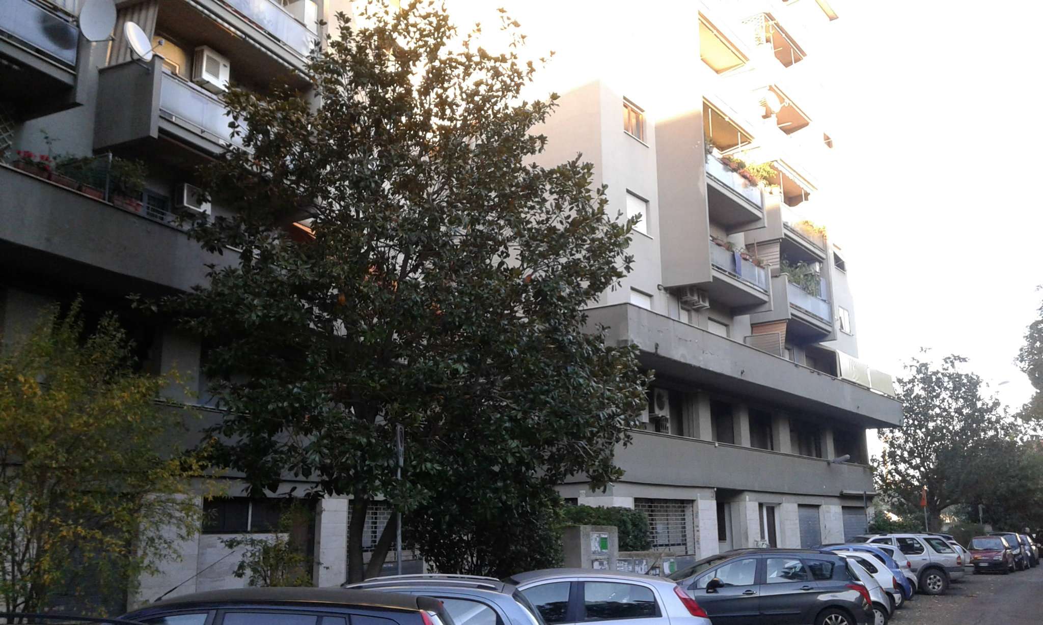 Appartamento ROMA vendita  Tiburtina Pescosolido CASA VOGUE IMMOBILIARE SRL