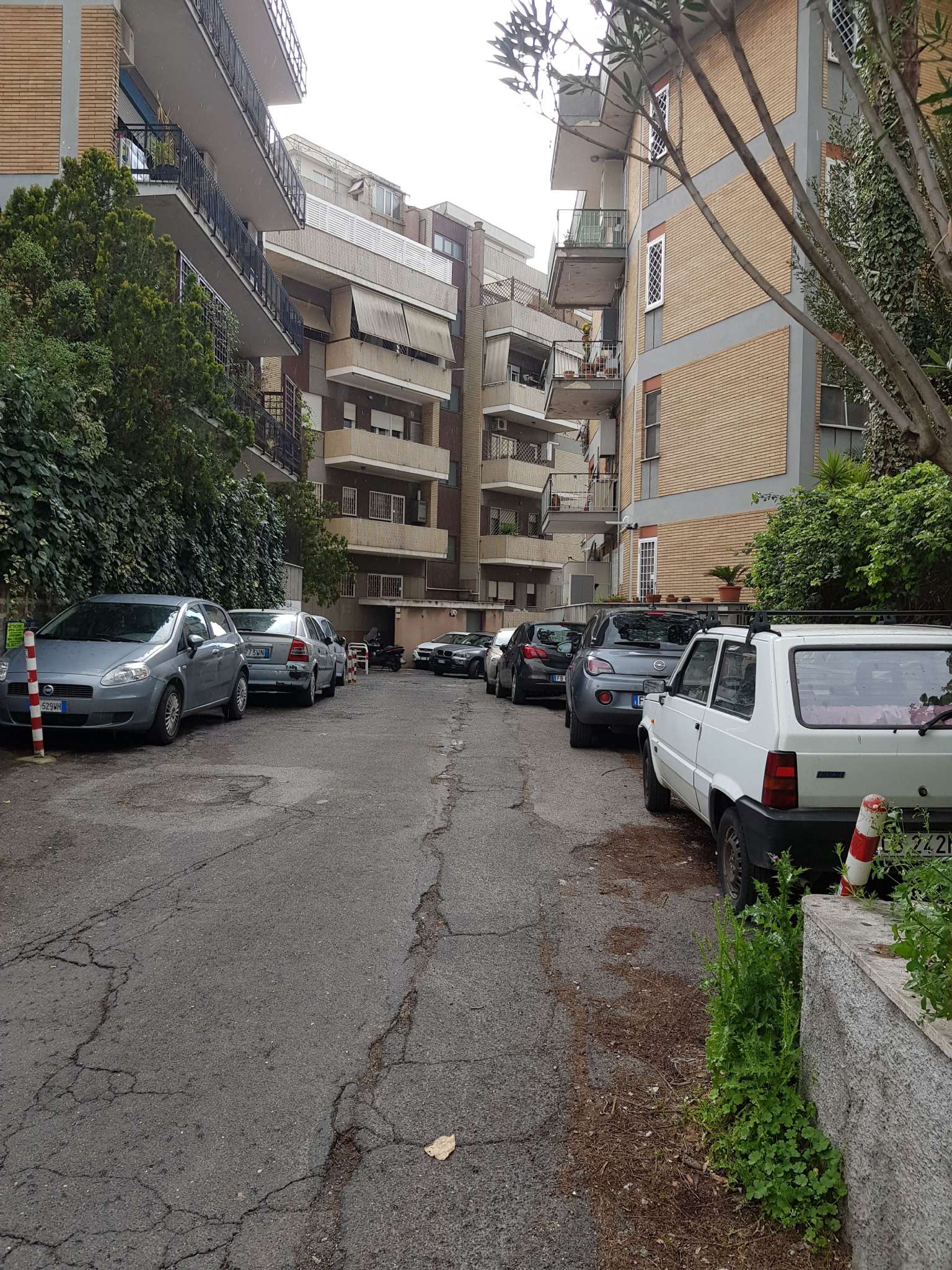  roma vendita quart: nomentano  casa vogue immobiliare srl