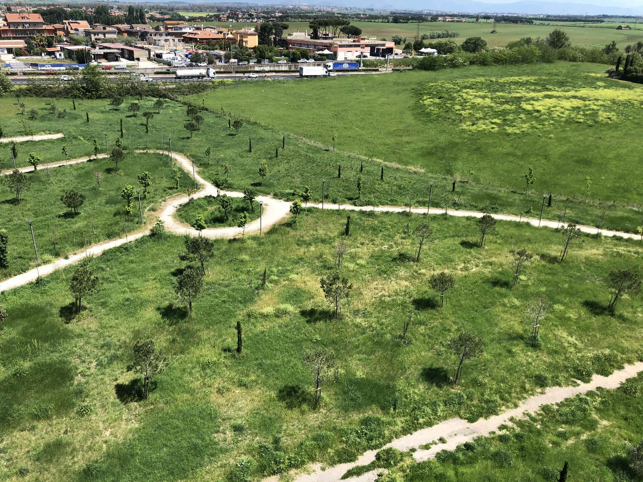 Attico ROMA vendita  CASAL BOCCONE (ZONA DELLA IV MUN.) Guglielmo Petroni WITHOUT LIMITS SRL