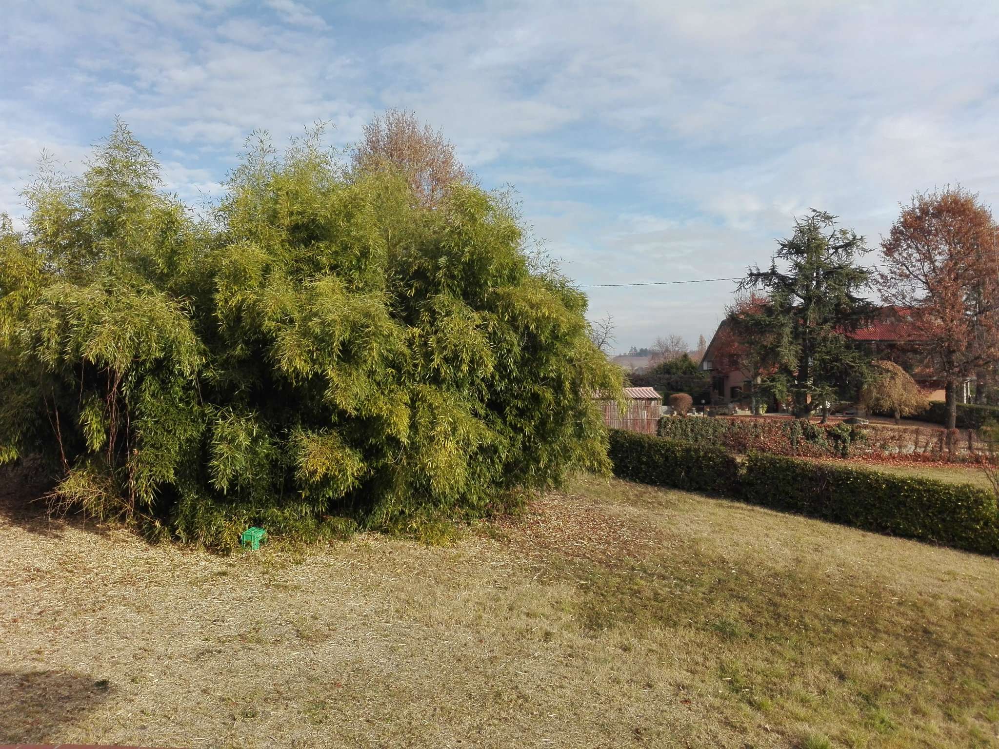 Villa Unifamiliare - Indipendente PINO TORINESE vendita   Palazzotto Proxima Snc