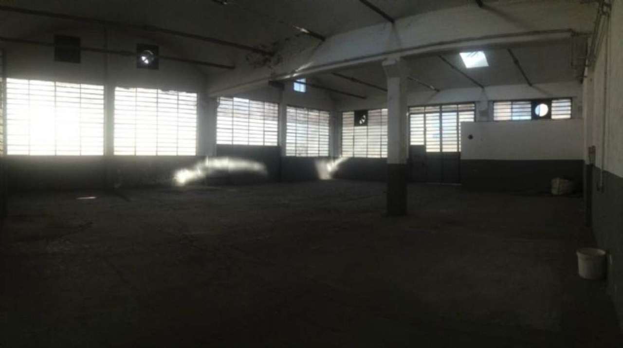 Capannoni (Tutti) TORINO vendita  MADONNA DI CAMPAGNA SANSOVINO EDIL.PRO.FIN