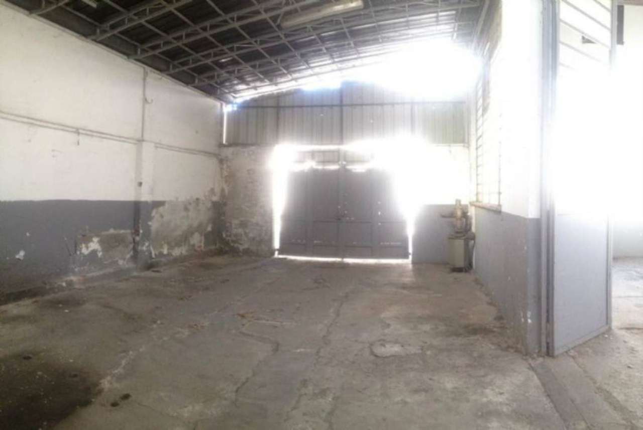 Capannoni (Tutti) TORINO vendita  MADONNA DI CAMPAGNA SANSOVINO EDIL.PRO.FIN