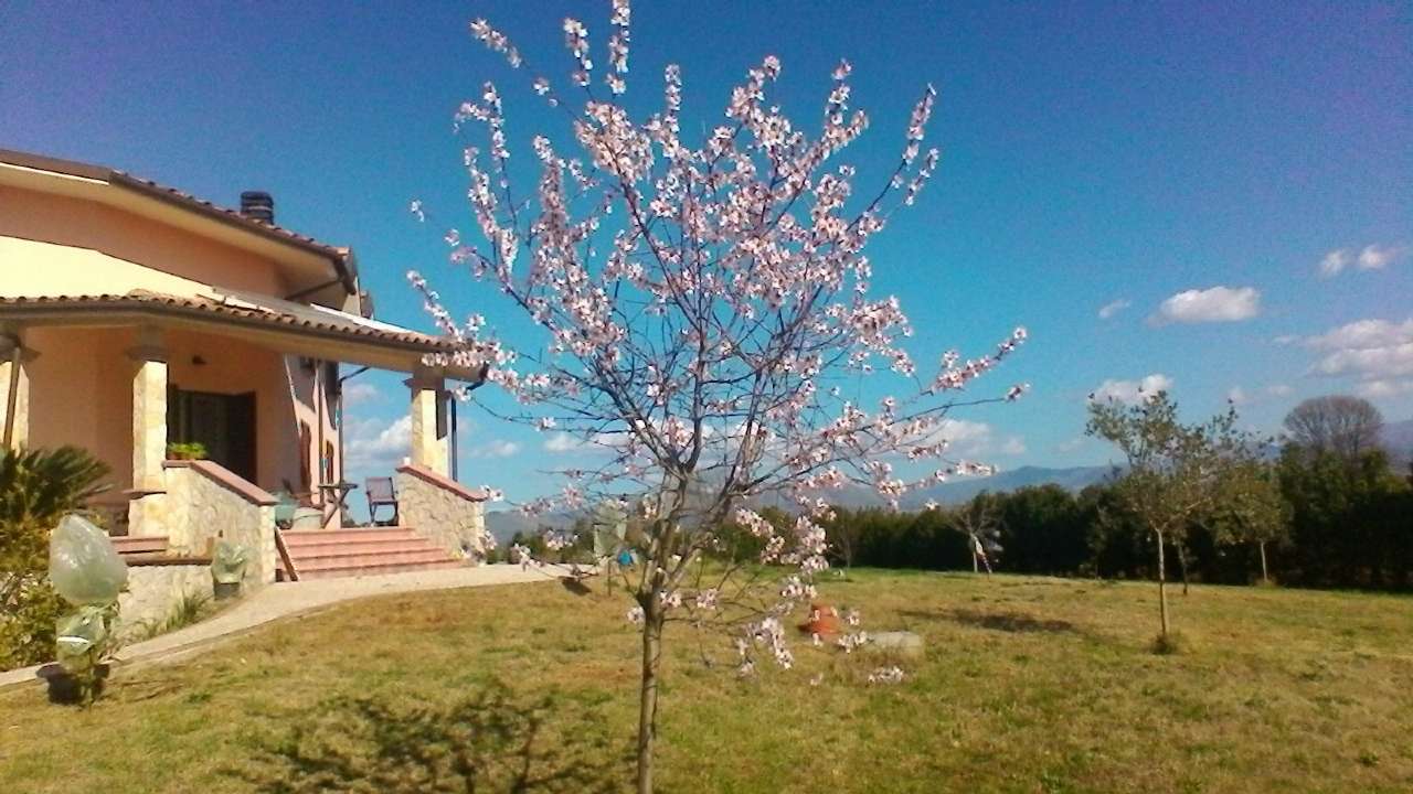 Villa Trifamiliare FIANO ROMANO vendita   Sebastiano Agenzia Immobiliare Guerrini