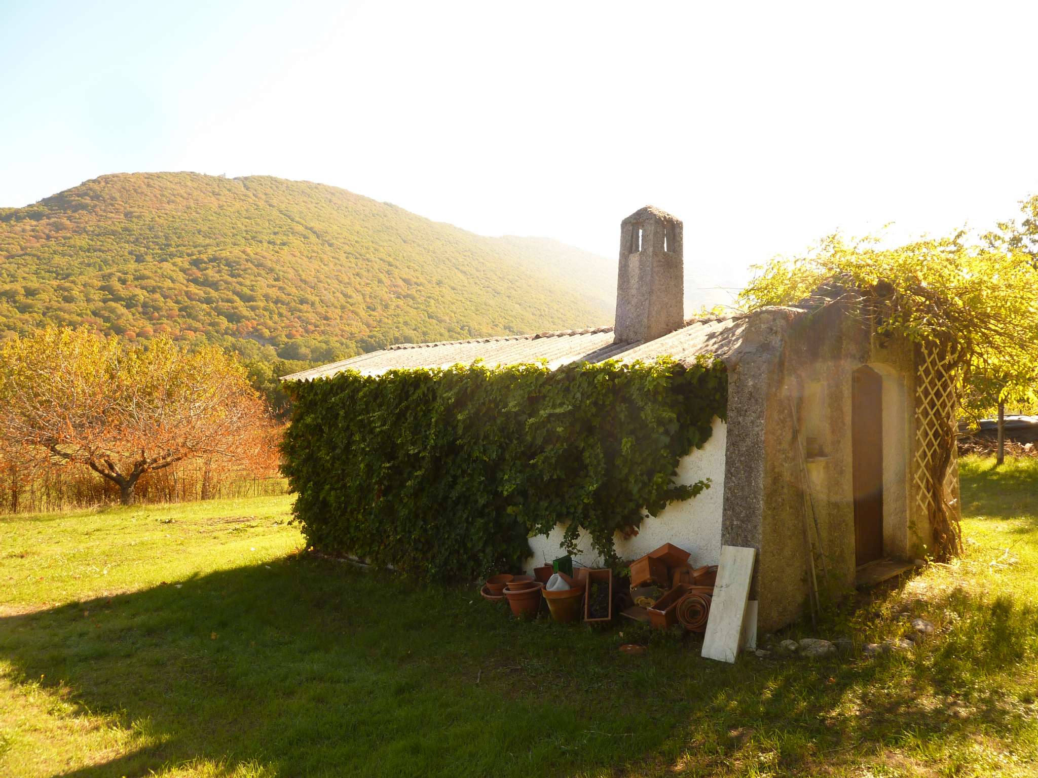 Villa Trifamiliare ROCCA DI BOTTE vendita   vagli IMMOBILIARE SIMONETTI SAS