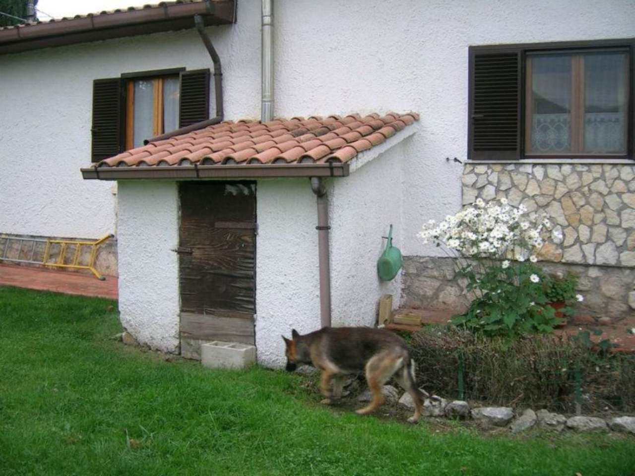 Villa Trifamiliare ROCCA DI BOTTE vendita   cinque IMMOBILIARE SIMONETTI SAS