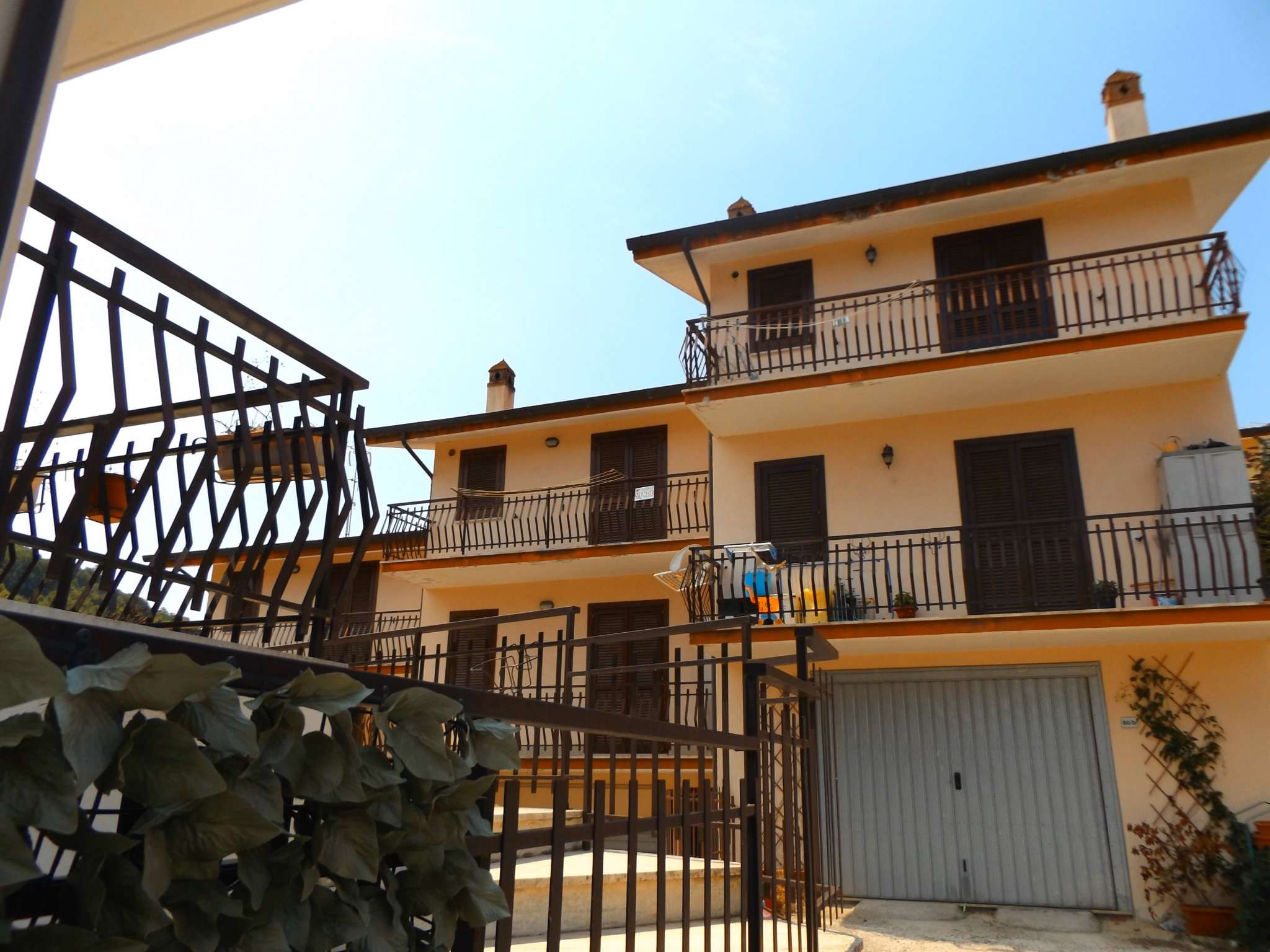 Villa Trifamiliare ORICOLA vendita   santo stefano IMMOBILIARE SIMONETTI SAS