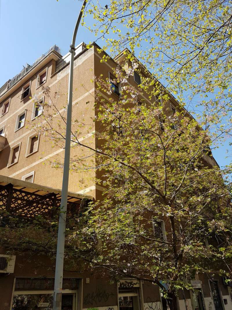  roma vendita quart: gianicolense (xv mun.) gruppo viola immobiliare s.r.l.