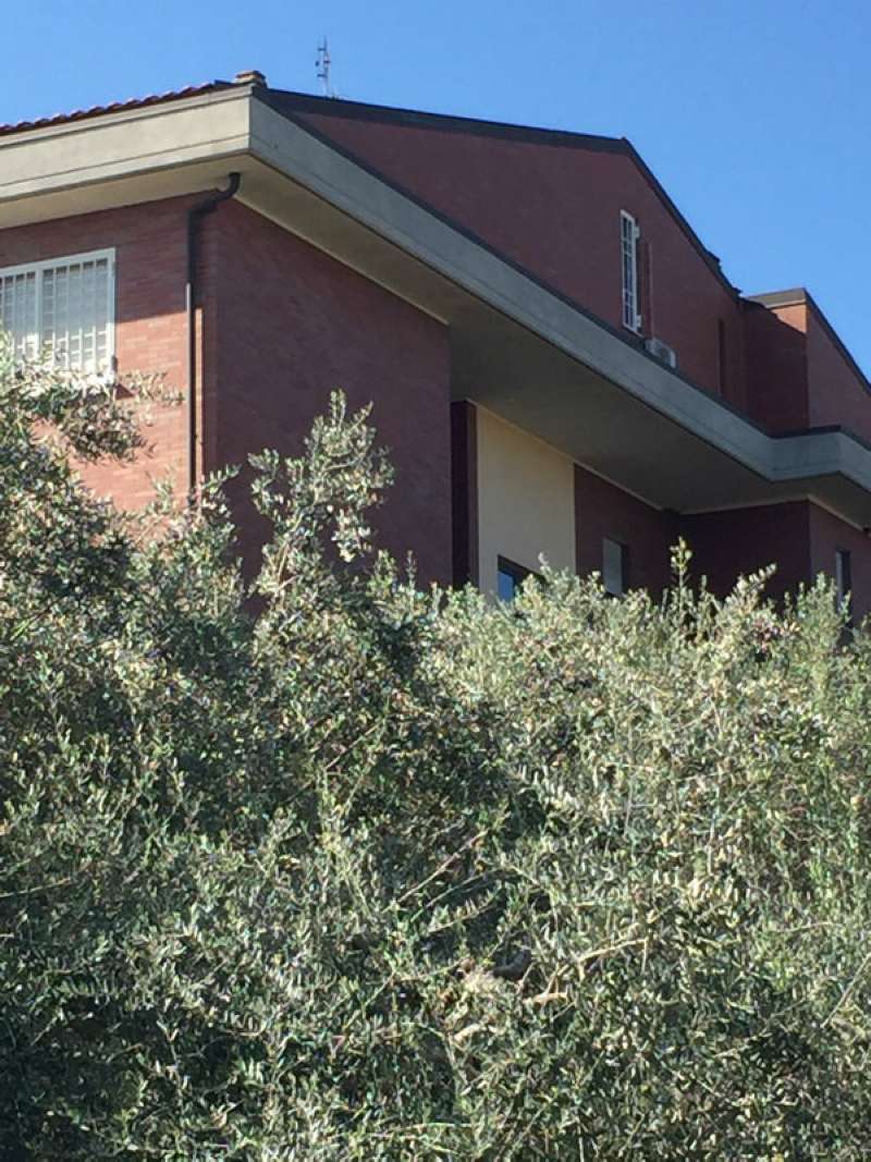 Appartamento ROMA vendita  BUFALOTTA delle Lucarie Gruppo Viola Immobiliare S.r.l.