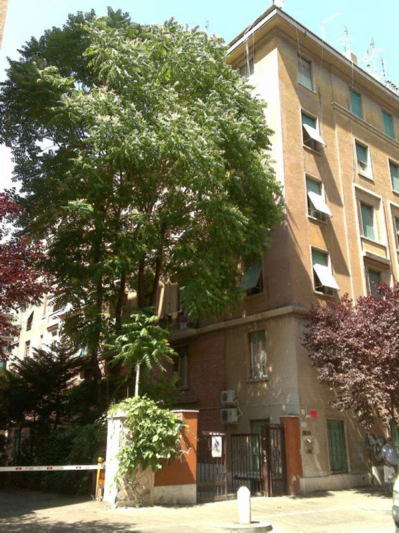  roma affitto quart: prati gruppo-viola-immobiliare-s.r.l.