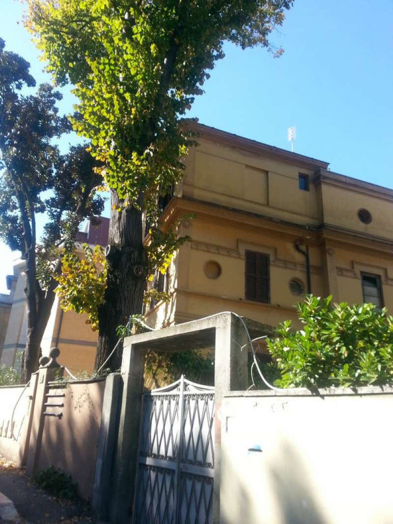 Appartamento ROMA affitto  PRATI Vaticano Gruppo Viola Immobiliare S.r.l.