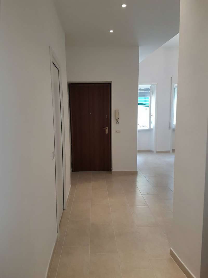 Appartamento ROMA affitto  FLAMINIO  Giulio Romano Gruppo Viola Immobiliare S.r.l.