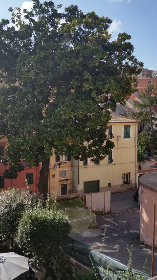  genova vendita quart: sturla glover immobiliare