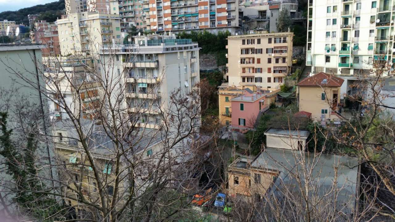 Appartamento GENOVA affitto  SAN FRUTTUOSO  Glover Immobiliare