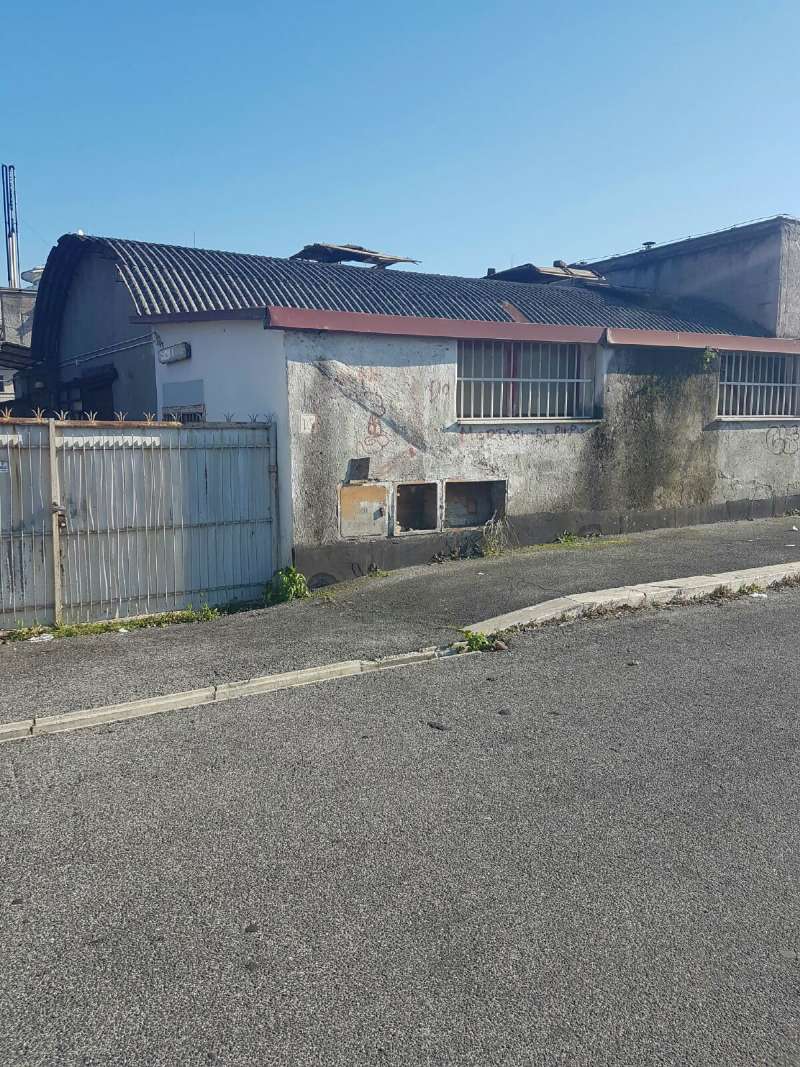 Capannoni (Tutti) ROMA vendita  TOR CERVARA  (ZONA DELLA V MUN.) Giovanni da Udine E.P. Servizi Immobiliari