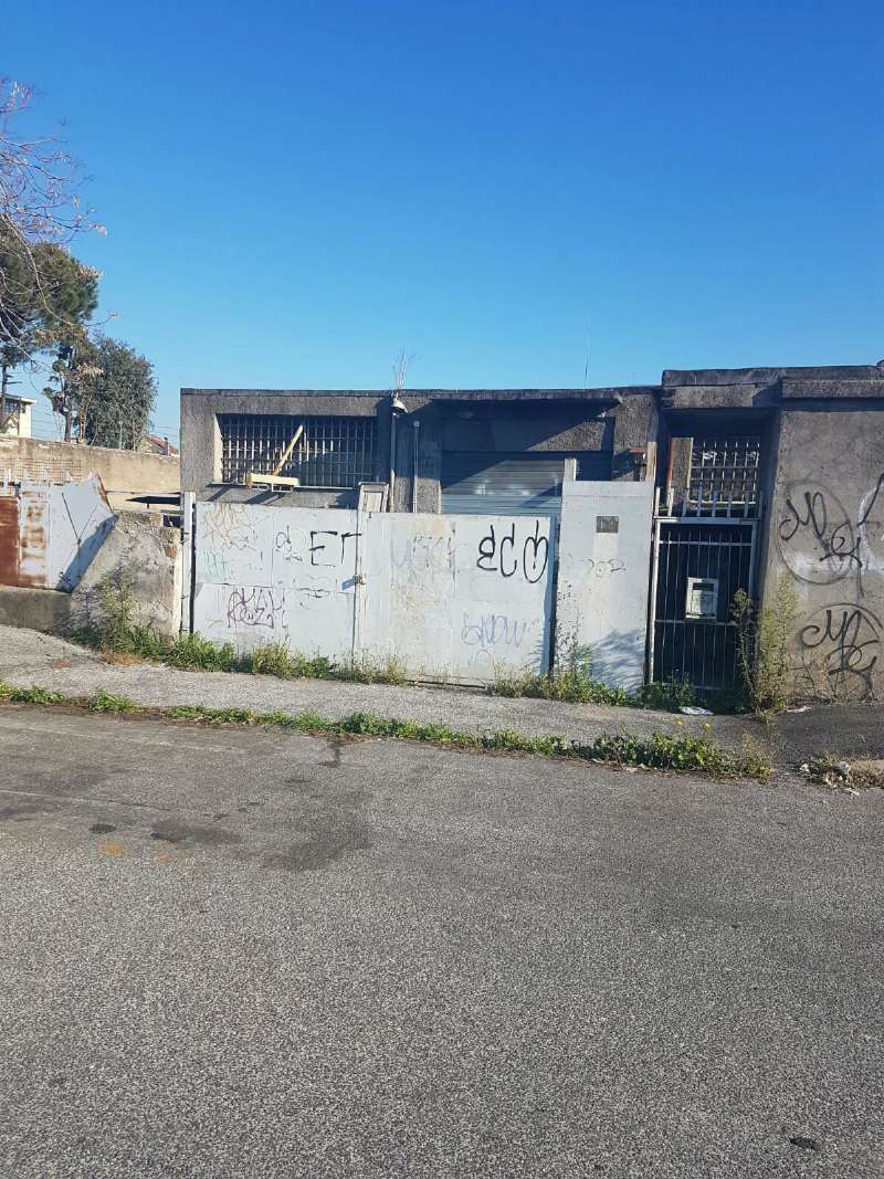 Capannoni (Tutti) ROMA vendita  TOR CERVARA  (ZONA DELLA V MUN.) Giovanni da Udine E.P. Servizi Immobiliari