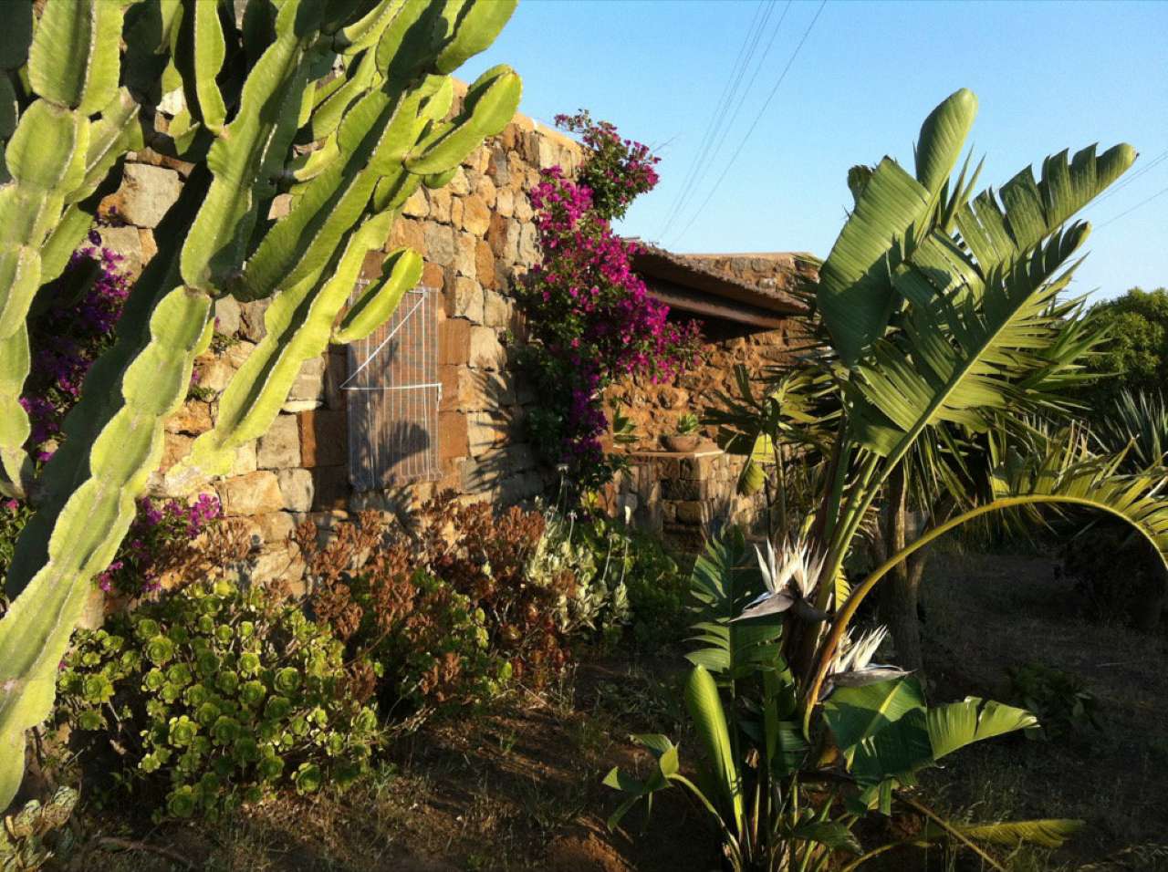 Villa Unifamiliare - Indipendente PANTELLERIA vendita    Studio Fori