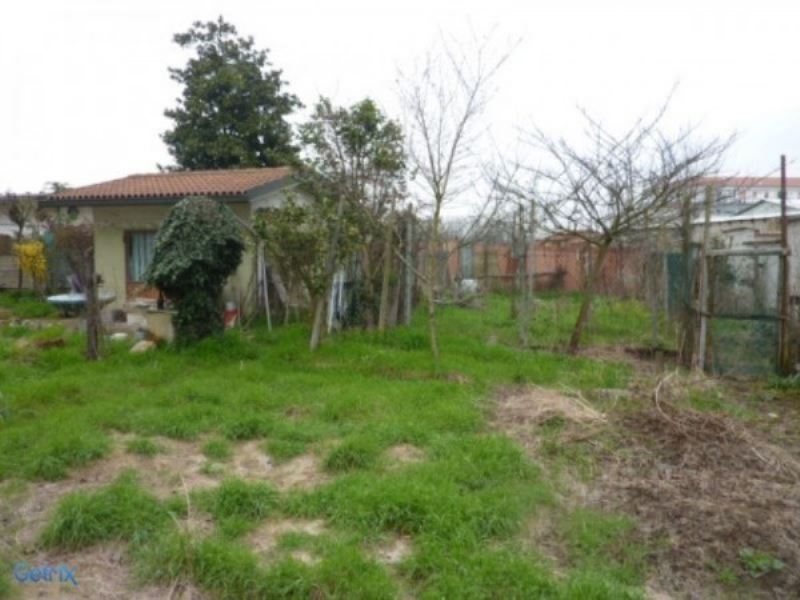 Villa MORTARA vendita   XX Settembre MORTARA IMMOBILIARE SRLS