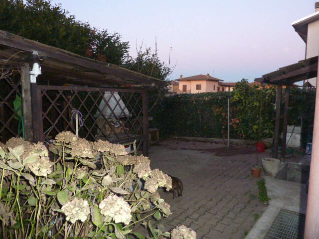 Villa MORTARA vendita   XX Settembre MORTARA IMMOBILIARE SRLS