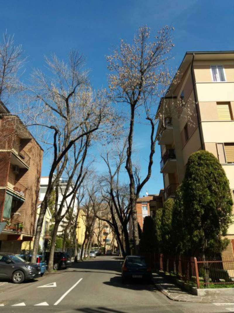 Negozio - Loc.Com. MODENA vendita  BUON PASTORE PADOVA IMMOBILIARE 3M
