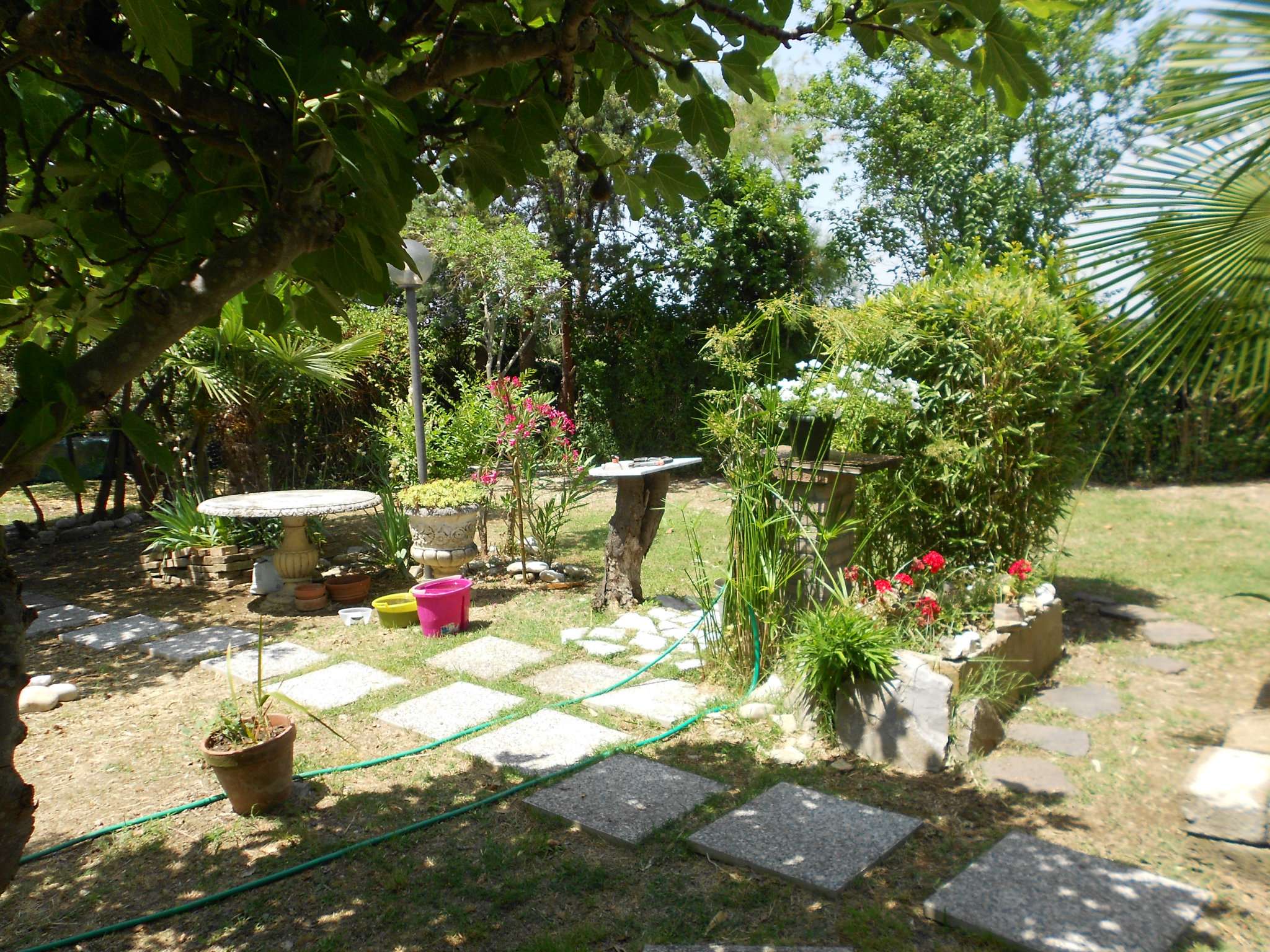 Villa Unifamiliare - Indipendente RIMINI vendita   via covignano MY HOUSE