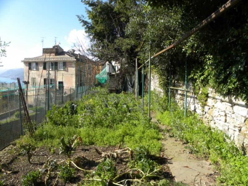 Appartamento CAMOGLI vendita   Antica Romana GFL Immobiliare di Terrile Laura