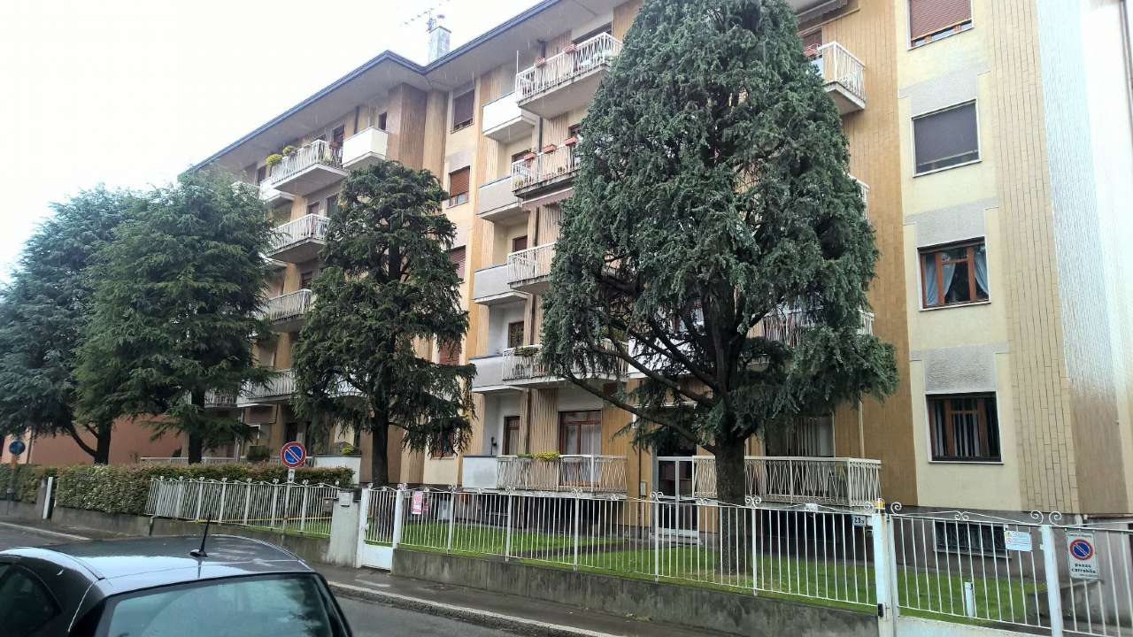 Appartamento MAGENTA affitto    Reale Immobiliare di D'Apote Giuseppe