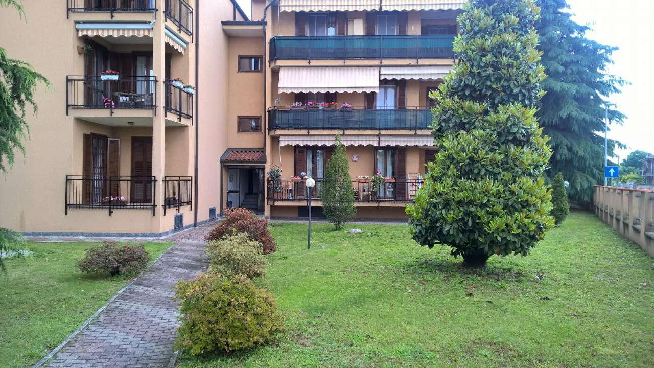 Appartamento BOFFALORA SOPRA TICINO affitto    Reale Immobiliare di D'Apote Giuseppe