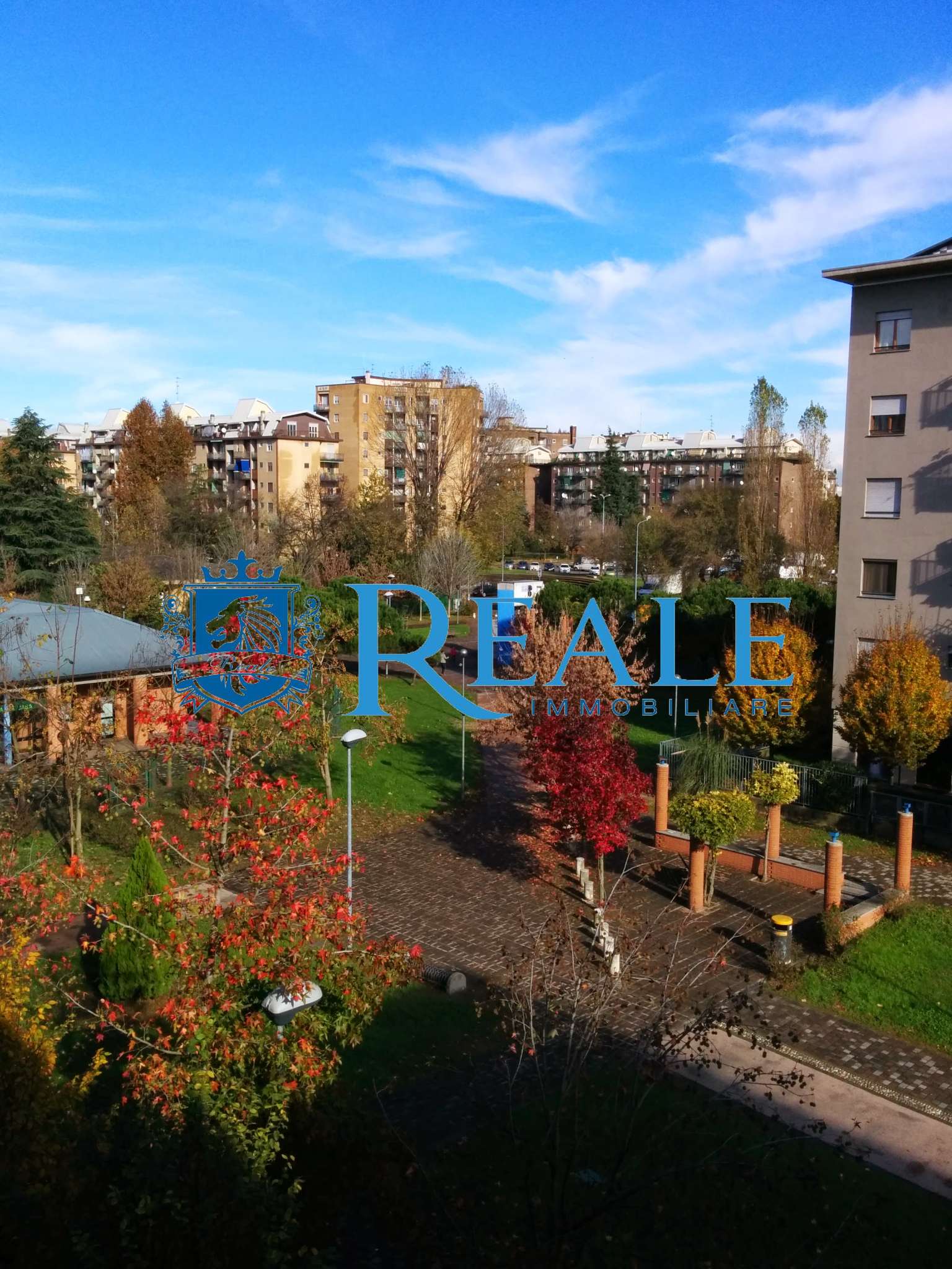 Cesano Boscone Affitto APPARTAMENTO