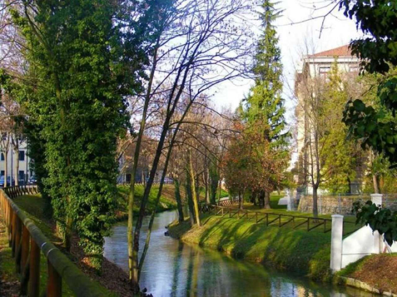 Negozio - Loc.Com. TREVISO vendita  CENTRO STORICO  AGENZIA AURORA