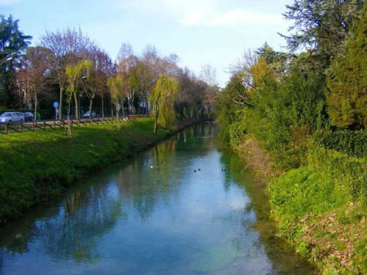 Negozio - Loc.Com. TREVISO vendita  CENTRO STORICO  AGENZIA AURORA