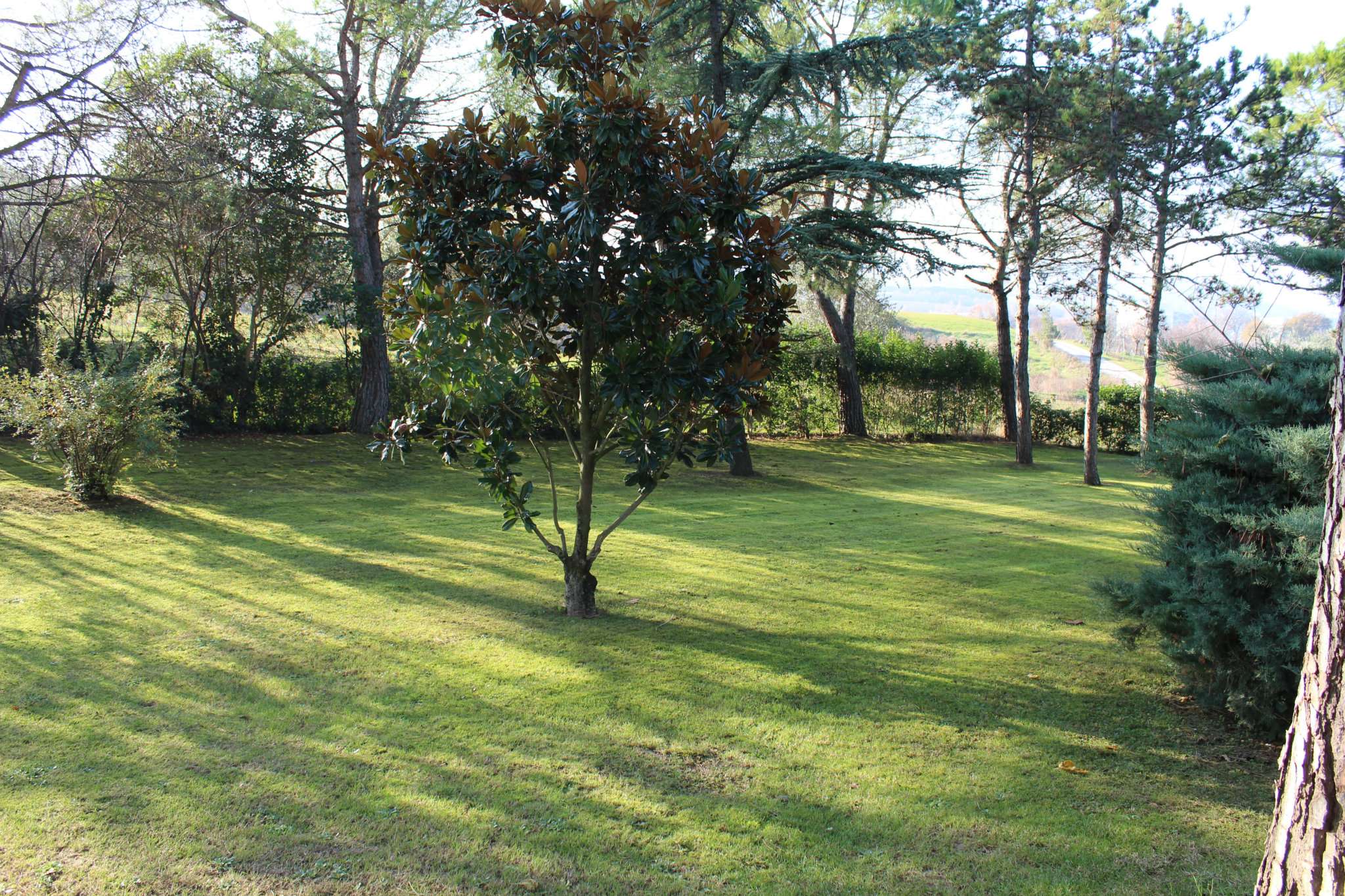 Villa Unifamiliare - Indipendente PESARO vendita   Lago di Bracciano Montecchio CASA