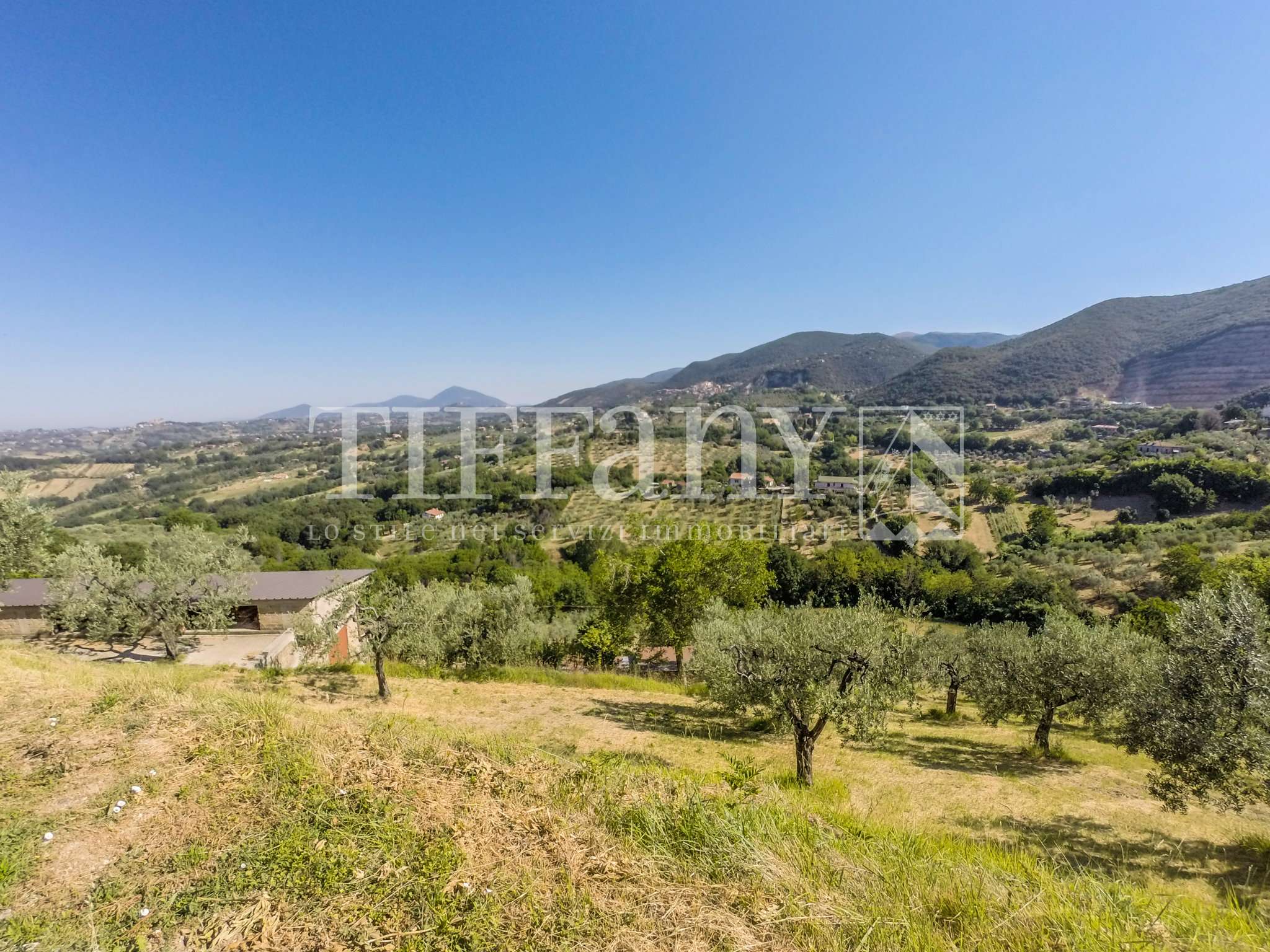 Villa POGGIO CATINO vendita   Fontegrotti Tiffany S.R.L. Studio Immobiliare