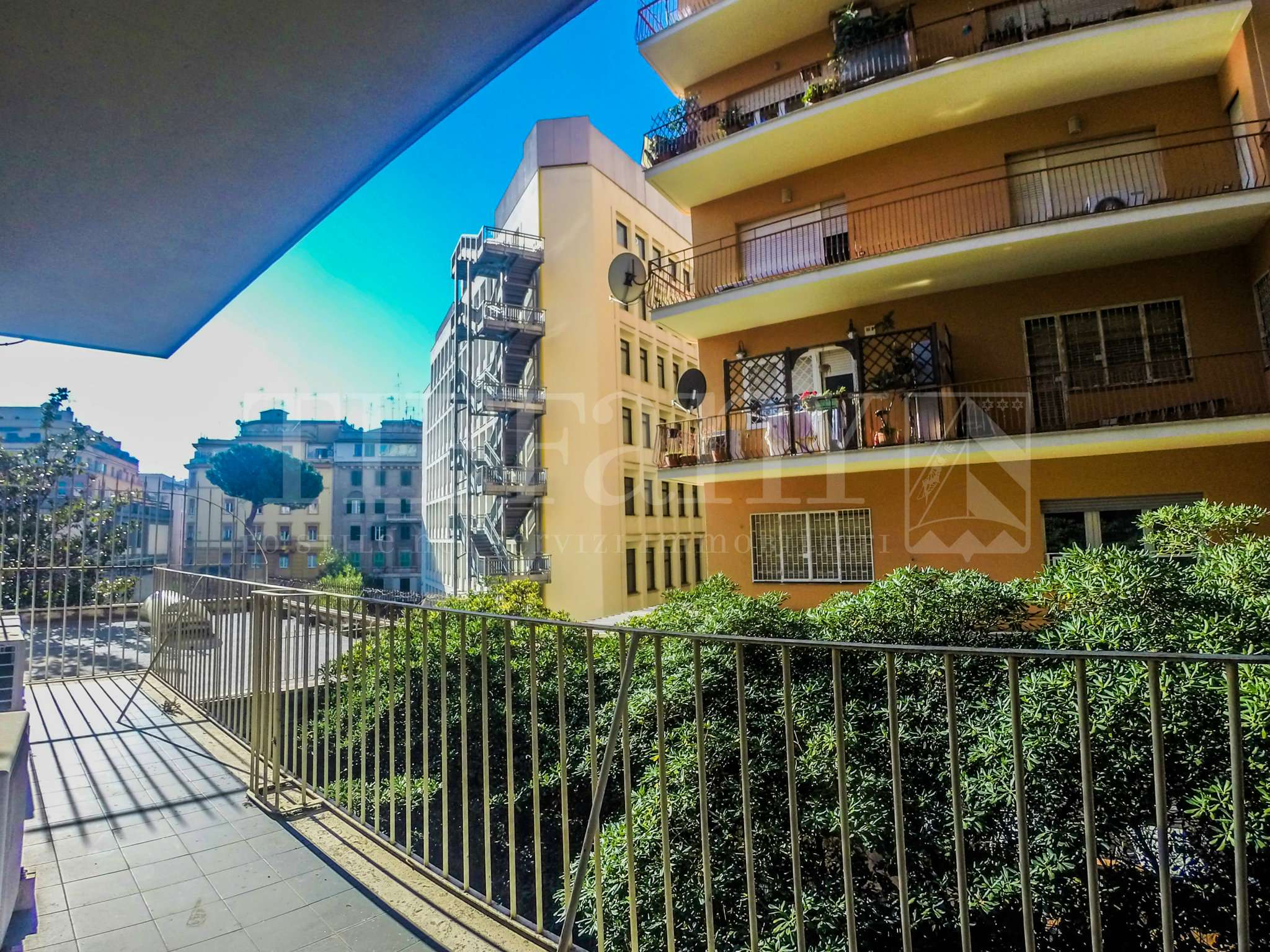 Ufficio - Loc.Com. ROMA vendita  NOMENTANO  Ravenna Tiffany S.R.L. Studio Immobiliare