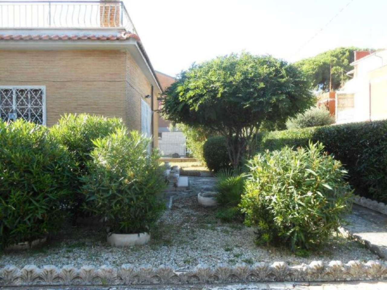 Villa Trifamiliare ANZIO vendita   delle Azalee Immobiliare Giacoponi di Roberto Giacoponi