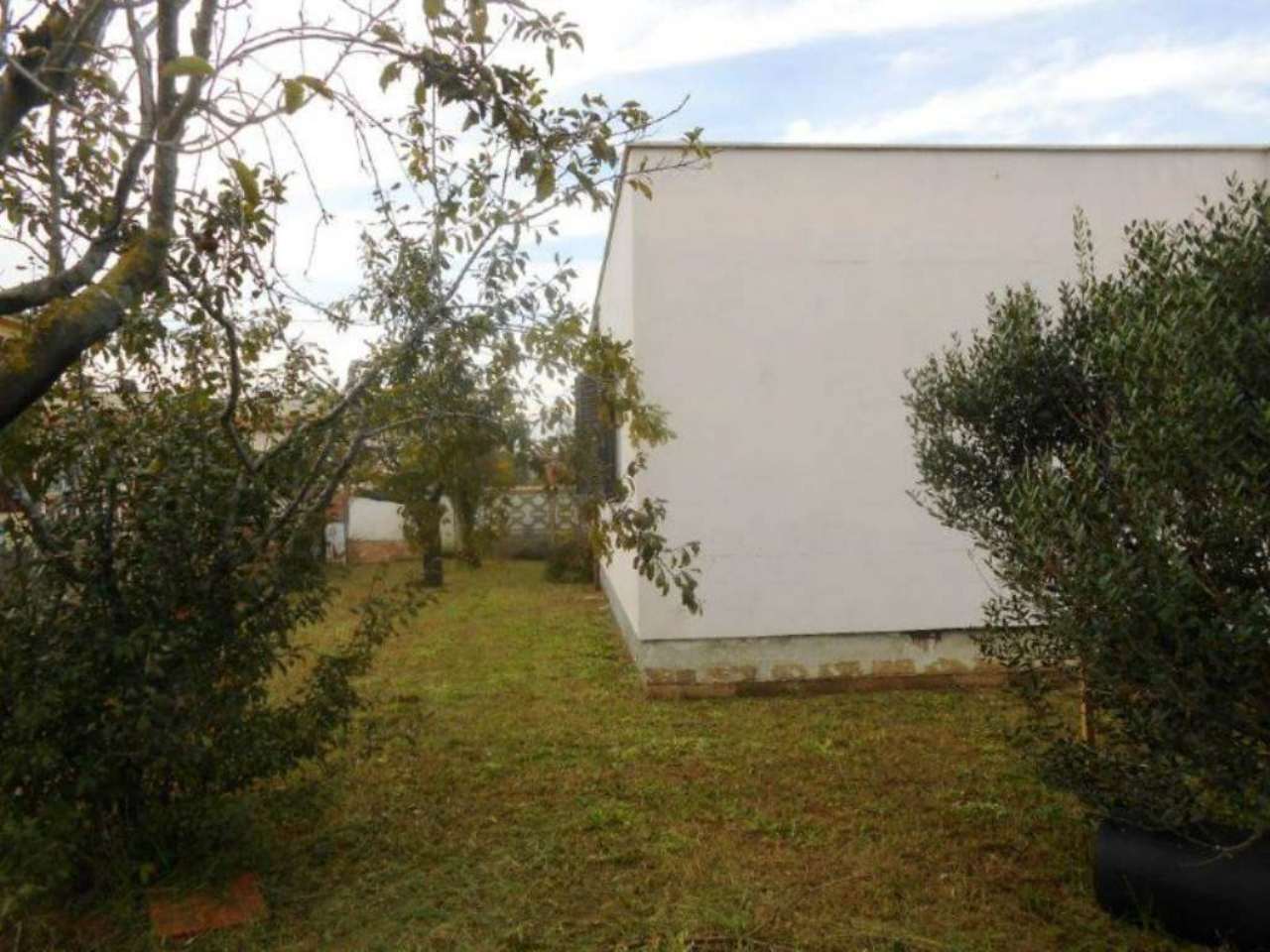 Villa Trifamiliare NETTUNO vendita   Santa Marinella Immobiliare Giacoponi di Roberto Giacoponi