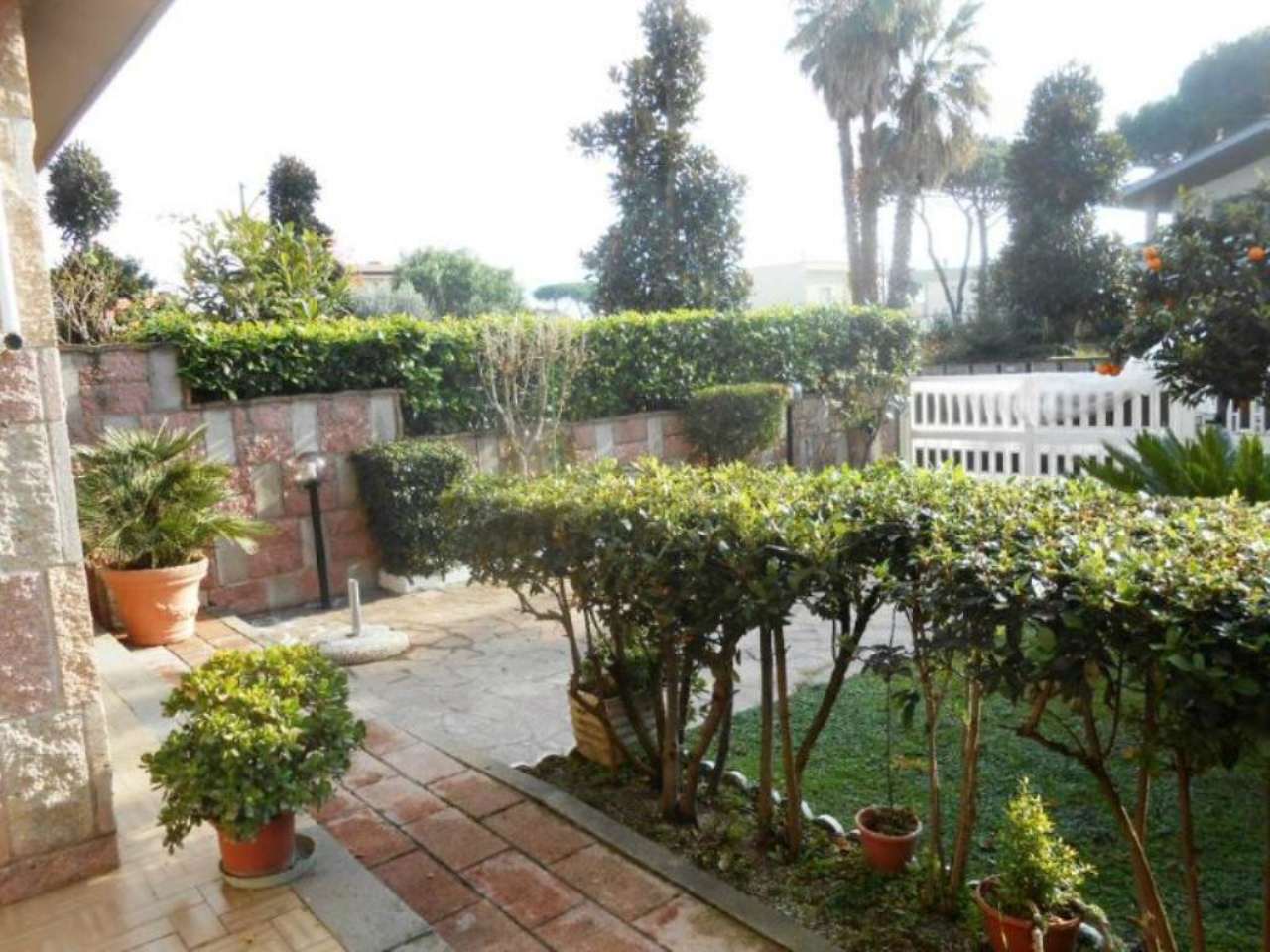 Villa Trifamiliare ANZIO vendita   Alfieri Immobiliare Giacoponi di Roberto Giacoponi