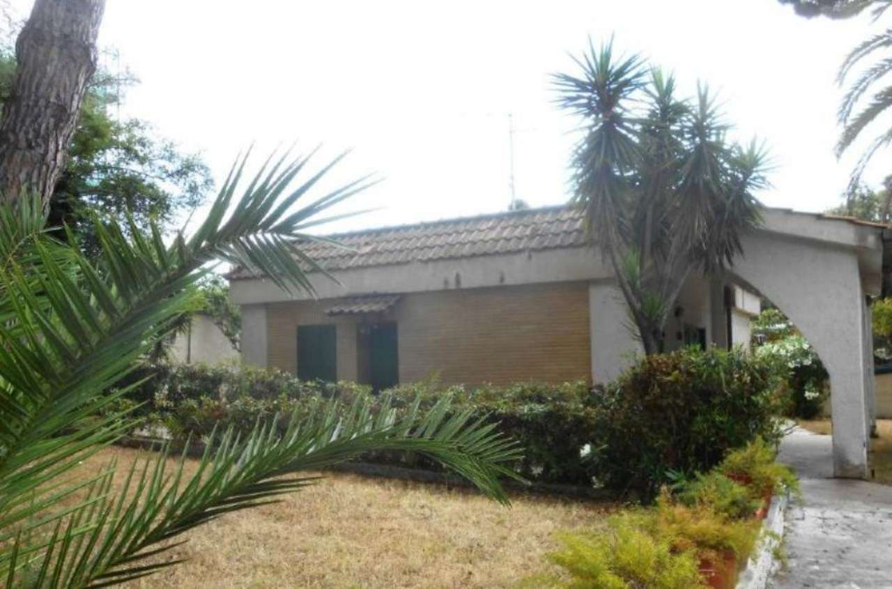 Villa Trifamiliare ANZIO vendita   Diana Immobiliare Giacoponi di Roberto Giacoponi