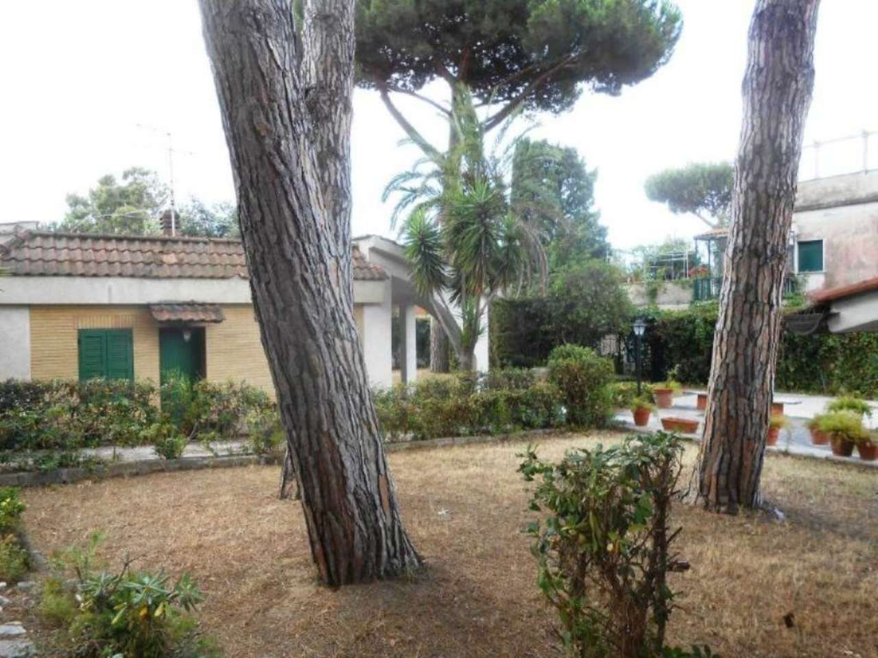 Villa Trifamiliare ANZIO vendita   Diana Immobiliare Giacoponi di Roberto Giacoponi