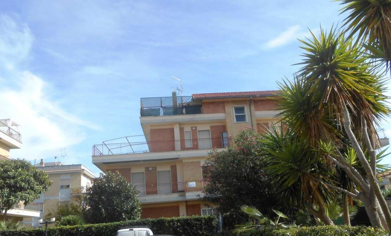 Appartamento ANZIO vendita   Stella Marina Immobiliare Giacoponi di Roberto Giacoponi